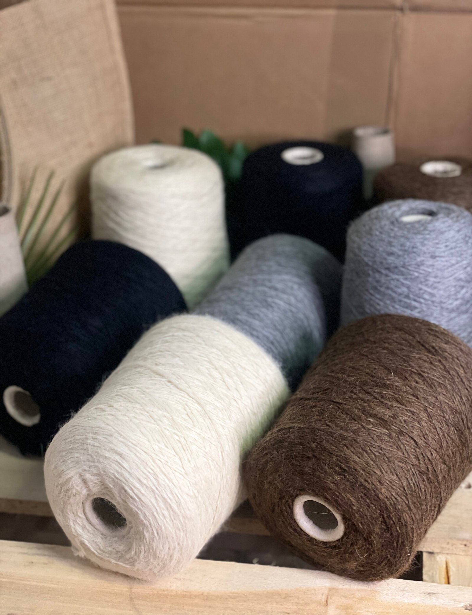 50% Alpaka, 50% Merino Vilna - Image 3